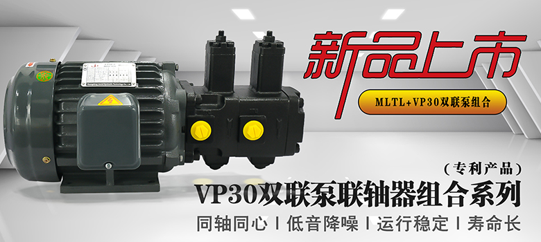 VP30雙聯泵組合.jpg